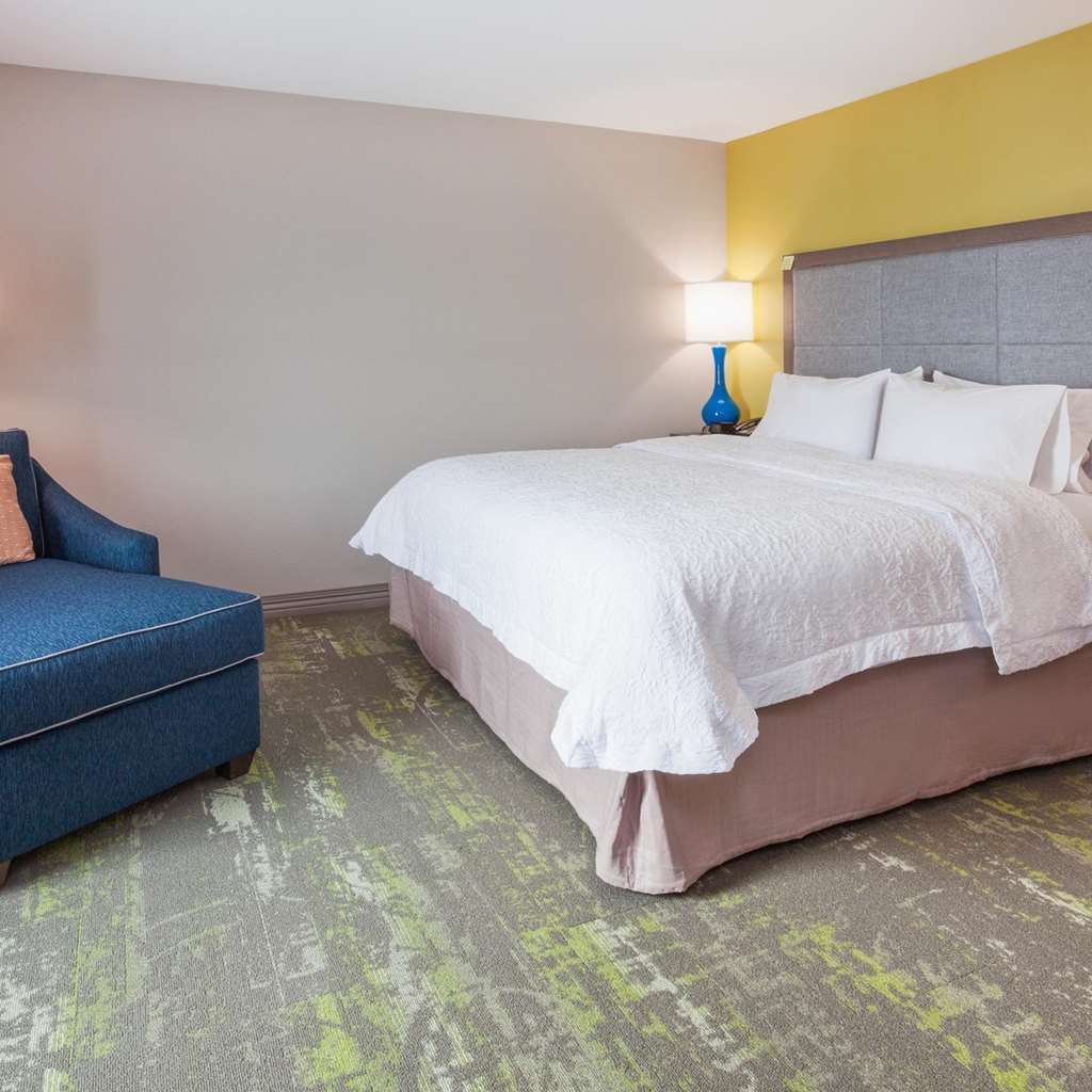 Hampton Inn & Suites Sioux City South, Ia Habitación foto